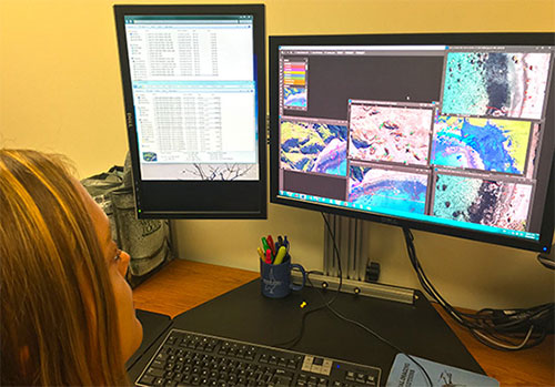 jpg Biologist Katie Sweeney pieces together pictures of large Steller sea lions sites to count each animal. 