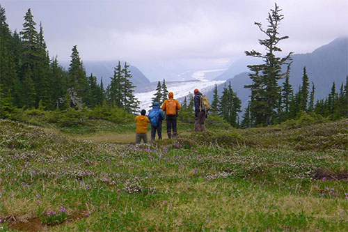 jpg USGS research team pauses to take in the view of South Crillon Glacier from a study site along the Fairweather Fault in southeast Alaska. 