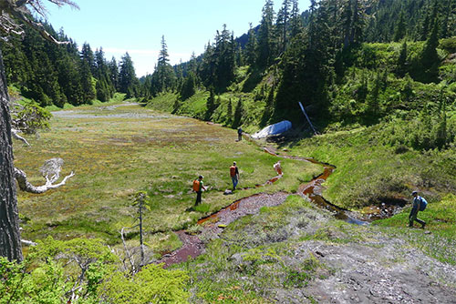 jpg A team of USGS scientists spent 10 days in the wilderness investigating the Fairweather Fault