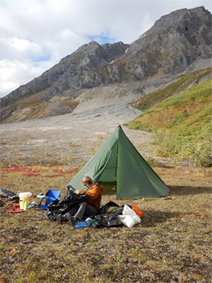 jpg Wrangell-St. Elias National Park geologist Mike Loso works at a base camp for a fossil search. Behind him rise the mountains where an ichthyosaur was rediscovered in August.