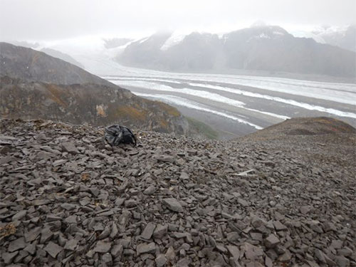 jpg David Whistler found an ichthyosaur jaw in 1963 on this the summit ridge.The ice axe and backpack show the area where many more bones of the specimen were rediscovered in August 2017.