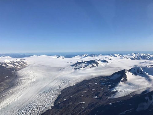 jpg Algae’s athletic role in glacier melt