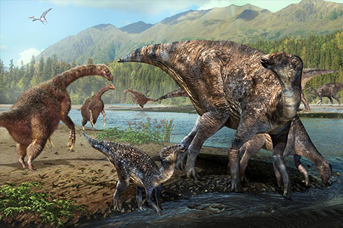 First North American co-occurrence of Hadrosaur and Therizinosaur tracks found in Alaska