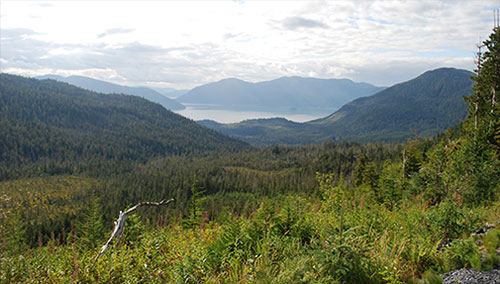 jpg Public Comment Sought On Draft of Tongass-Specific Roadless Rule 