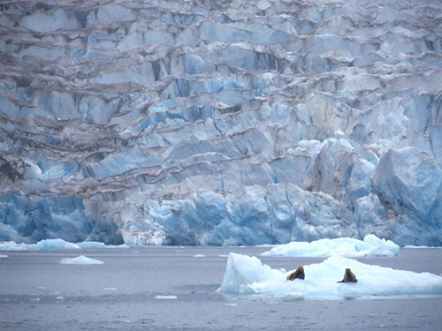  International climate report holds special value for Alaska 