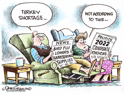 jpg Political Cartoon: Turkey shortage 2022