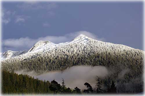 jpg winter's on the way - snow on Deer Mt.