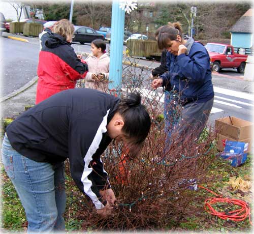 jpg decorating bush