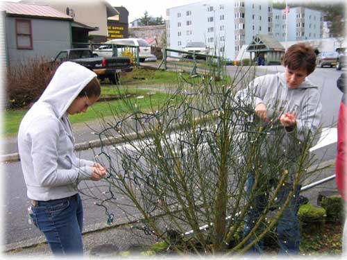 jpg decorating bush