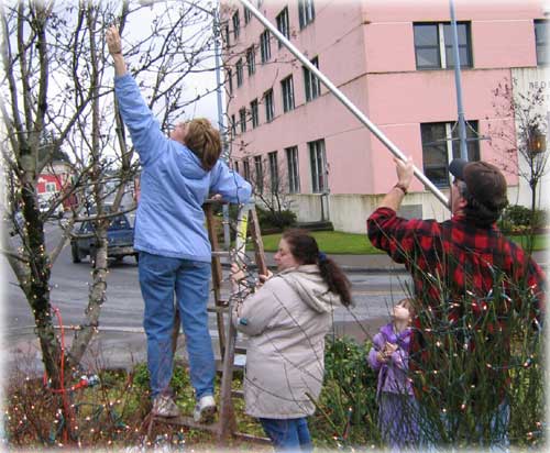 jpg decorating tree