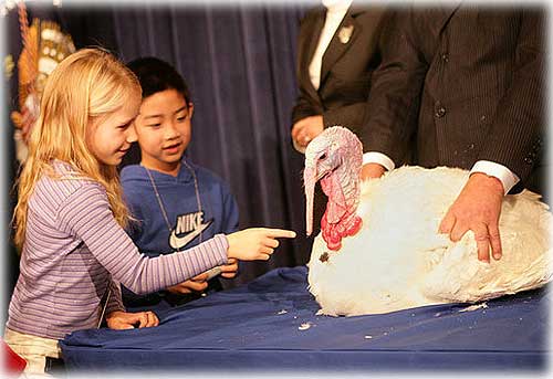 jpg children pet Marshmallow