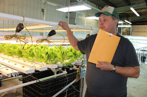 jpg Microgreen farmer has a vision for the Alaska diet 