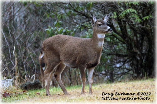 Front Page Photograph by DOUG BURKMAN