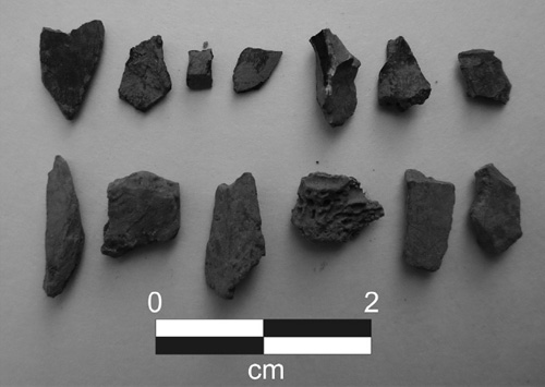 jpg Discovery Of Alaska Spear Points Raises New Questions About Human Arrival In North America