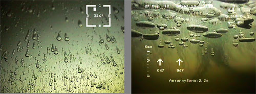 jpg Methane bubbles collect under the ice