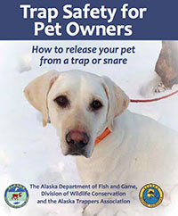Free "Trap Safety for Pet Owners" Guide Offers Advice for Sharing Alaska’s Trails