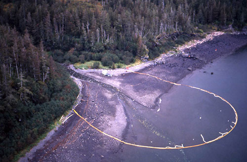 jpg Exxon Valdez Oil Spill 1989: Oiled beach - boom protecting salmon stream. Photo taken at LaTouche Island (Prince William Sound).