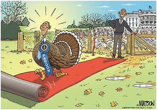 jpg POLITICAL CARTOON: President Obama Pardons his Turkey