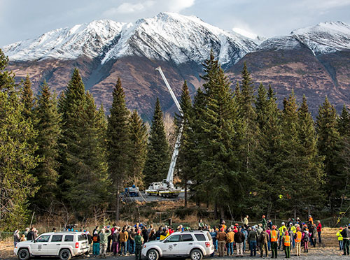 jpg Tree cutting in the Chugach National Forest