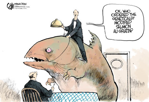 jpg Editorial Cartoon: Genetically Modified Salmon