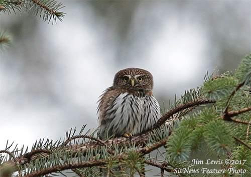 Front Page Feature Photo By JIM LEWIS 