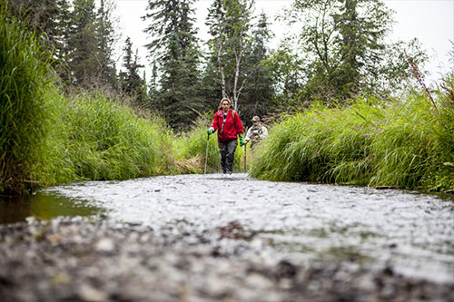 jpg Hansen Creek in southwest Alaska