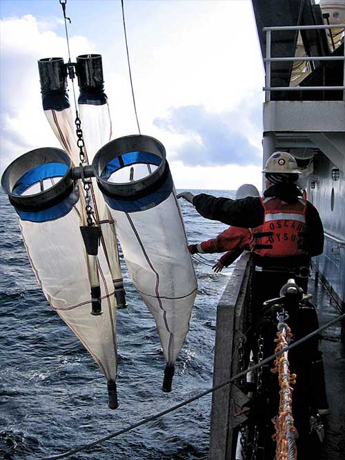 jpg NOAA Fisheries scientists collect larval fish and their plankton prey during a Gulf of Alaska Survey.