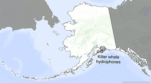 jpg Circles mark the locations of Hannah Myers' hydrophones in the Gulf of Alaska