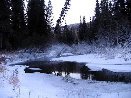 jpg Upper Chena River