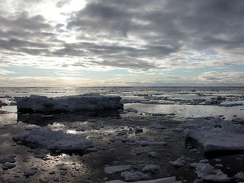 jpg Sea ice off Gambell, Alaska.
