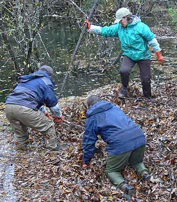 jpg Steep Creek culvert