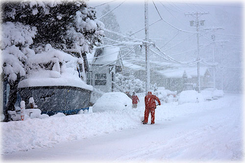 jpg Digging-out -- South Tongass Highway Photograph by Lisa Thompson