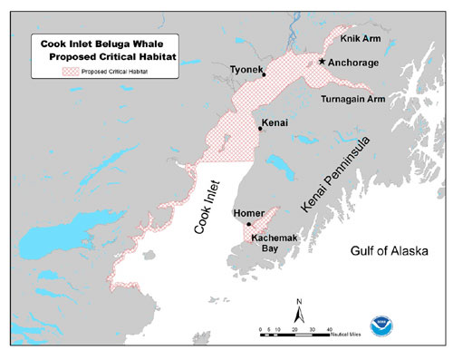 jpg Proposed critical habitat for Cook Inlet beluga whales.