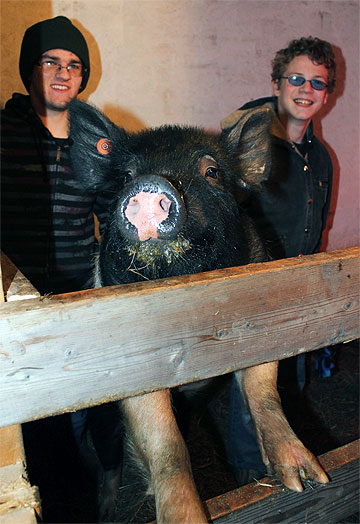 jpg A barn on a budget offers a life lesson in agriculture 