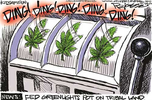 jpg POLITICAL CARTOON: Native American Pot