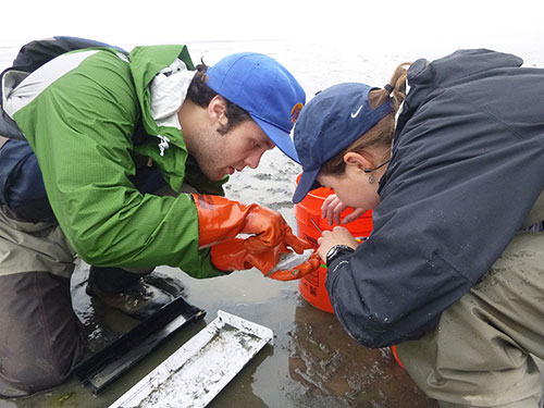 jpg Doug Duncan and Emily Whitney work at one of the sampling sites. 