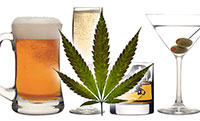jpg No easy answers in study of legal marijuana's impact on alcohol use 