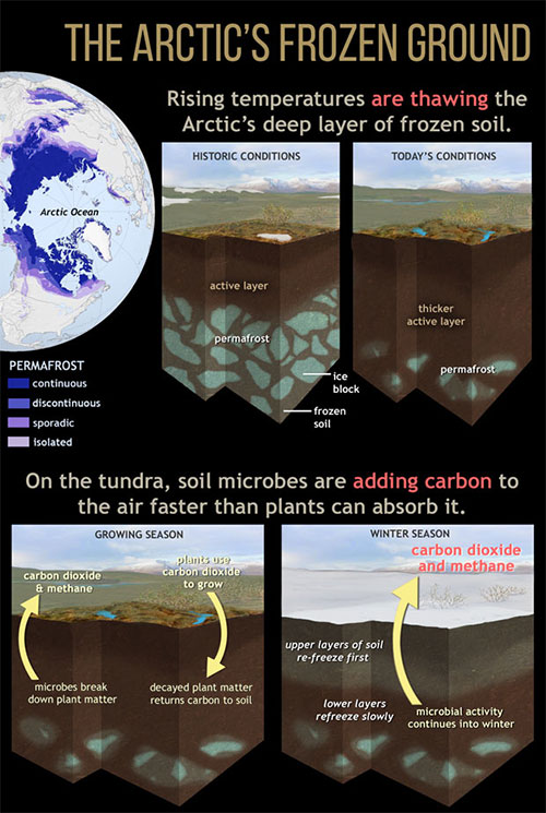 jpg Rising temperatures are thawing the Arctic's deep layer of frozen soil.