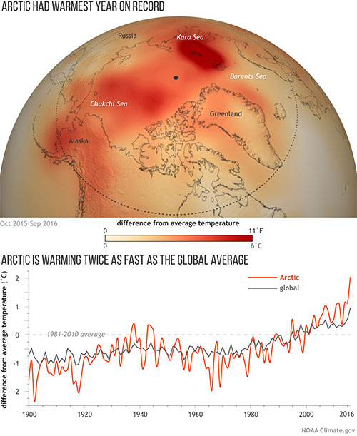 jpg Arctic had warmest year on record 