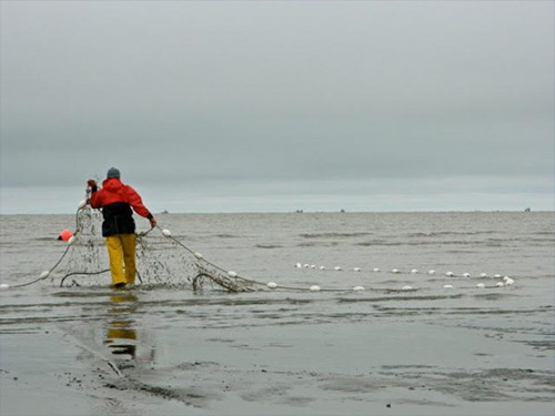 jpg Report identifies ways to rejuvenate Alaska’s commercial fishing fleet 