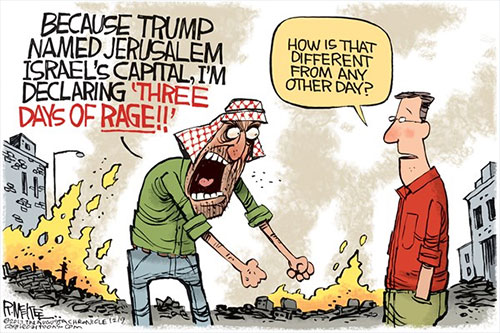 jpg Political Cartoon: Days Of Rage 