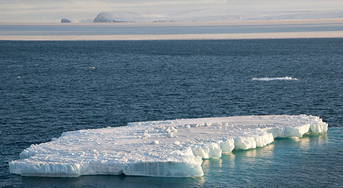 jpg Arctic saw 2nd warmest year, smallest winter sea ice coverage on record in 2017