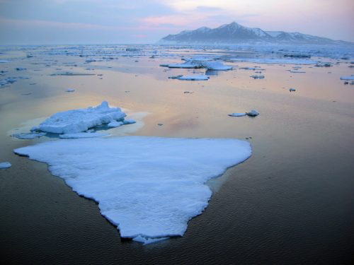 jpg Record low level of Bering Sea ice causes profound, widespread impacts