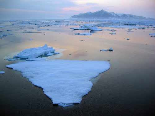 Record low level of Bering Sea ice causes profound, widespread impacts