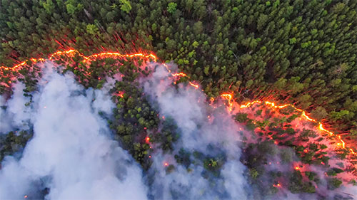 jpg A wildfire burns in in the Krasnoyarsk region of Siberia during summer 2020. The fire is an example of the recent increase in wildfire activity in the Arctic.