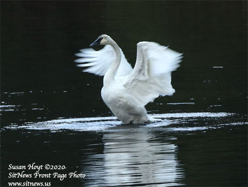 Front Page Photo By SUSAN HOYT