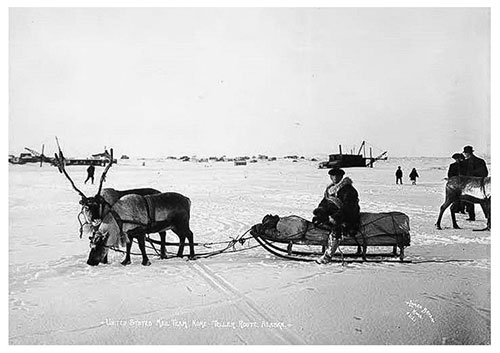 jpg U.S. Mail team, Nome-Teller route, circa 1902. 