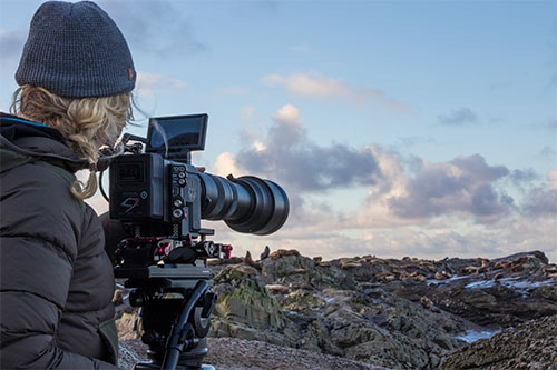 jpg Erin Ranney filming sea lions.