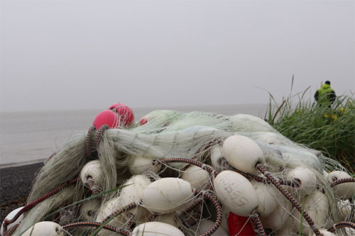 jpg A gill-net stashed on the beach of Bristol Bay.