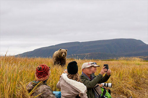 jpg Cross species viewing with Grizzly Safaris